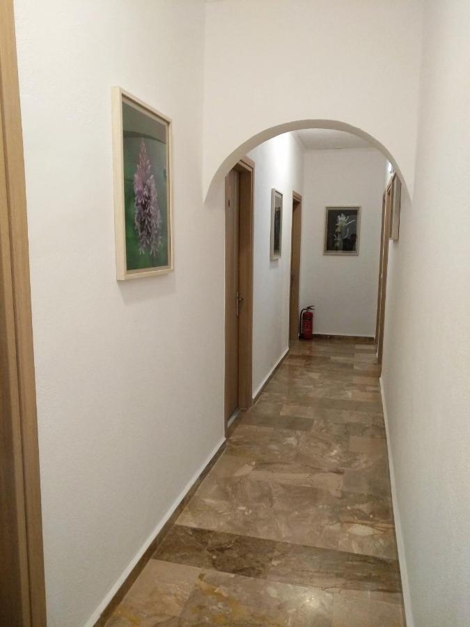 Apartamento Calypso Agia Roumeli Exterior foto